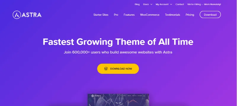 Astra Theme