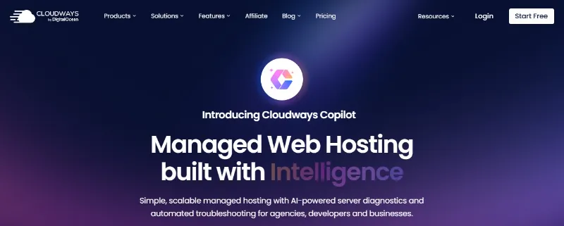 How To Host Websites In Cloudways