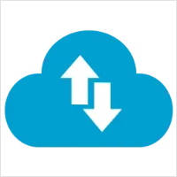 WP Vivid Logo